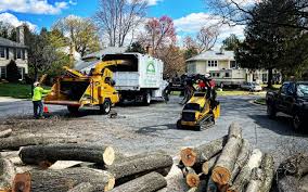 Lawn Pest Prevention in Providence, KY