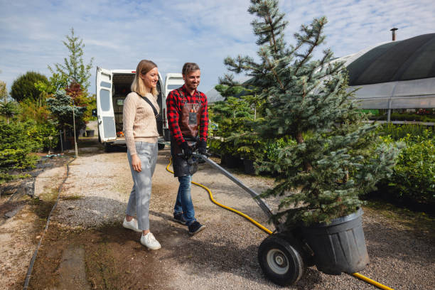 Best Weed Control  in Providence, KY